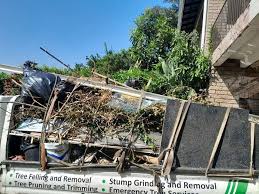 Best Demolition Debris Removal  in Orange City, IA