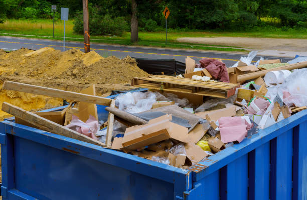 Best Shed Removal  in Orange City, IA